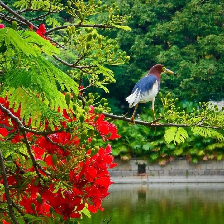 初夏吃什么好？